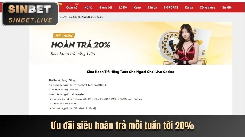 Giao diện thân thiện của ứng dụng betvnd app